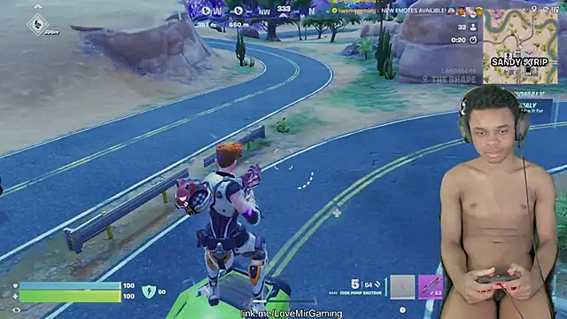 lovemirgaming webcam