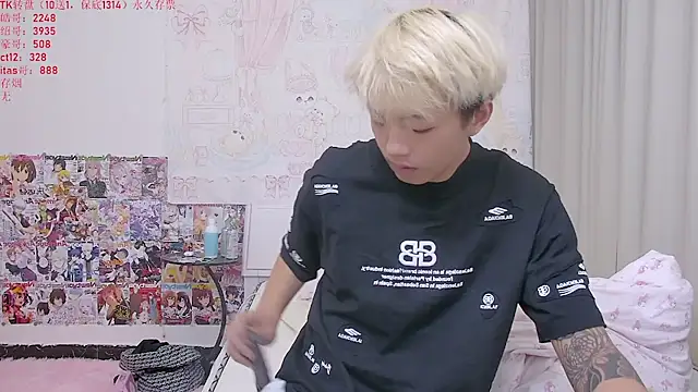 Chocolates-001 webcam