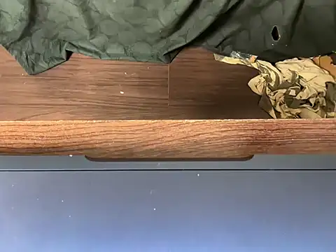 LustyDuoSecrets webcam