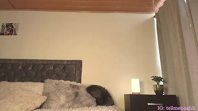 Hairyparadise webcam