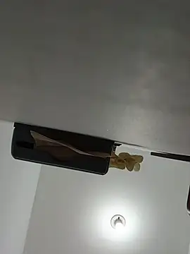 AlaskanCornpone webcam