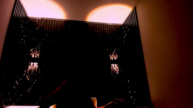 Gregory_Sforza webcam