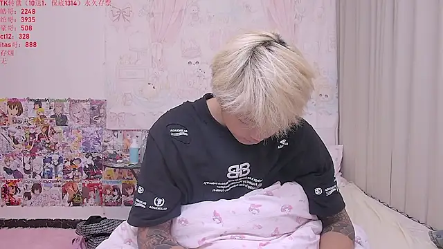 Chocolates-001 webcam