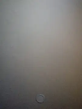 Ashleytransfreak69 webcam