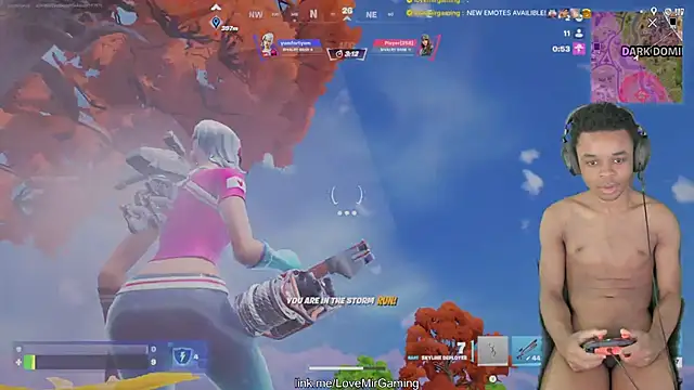 lovemirgaming webcam