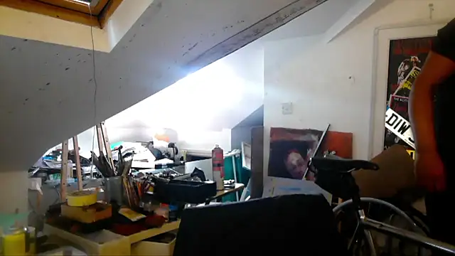 mista_sista_fista webcam