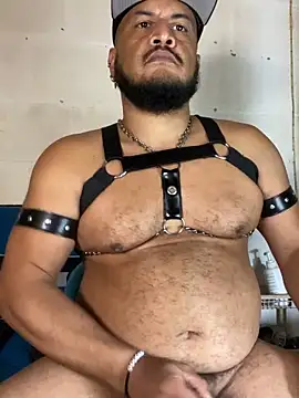 the_master_foal_ webcam