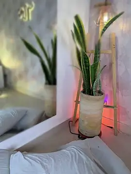 Nicolemorelli2 webcam