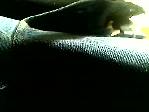 Preview of markluvskitty