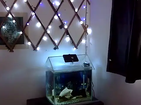 venusfranco_94 webcam