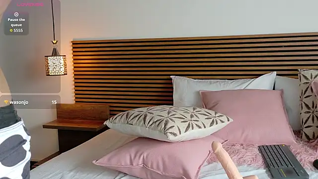 nitha_model25 webcam