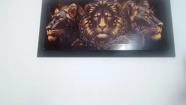 drake_brwon_23 webcam