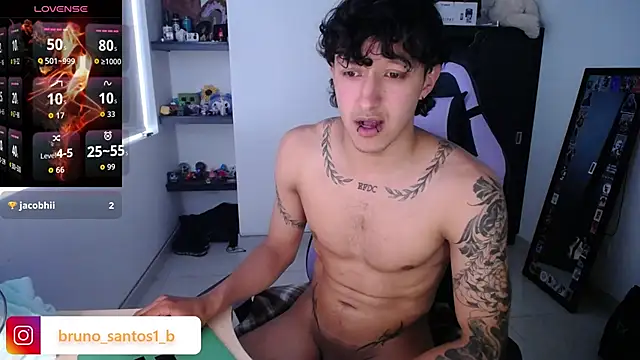 Bruno_santos1 webcam