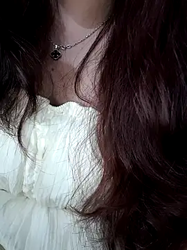 Linksys_nicee webcam