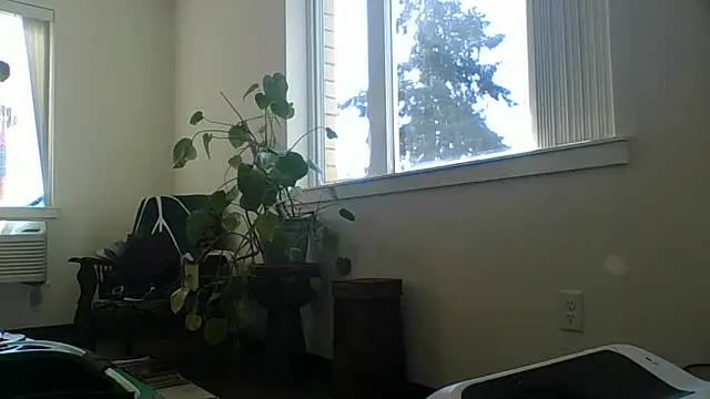 DavidEugeneOr webcam