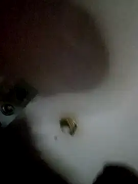 destroassbig2 webcam