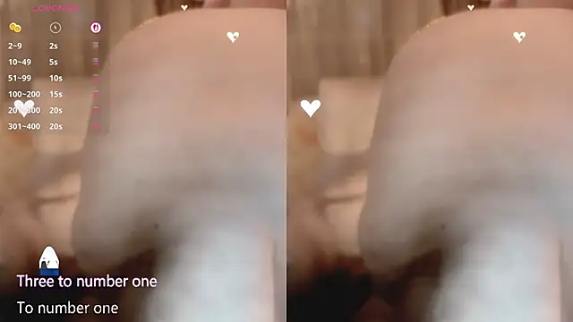 Vaidurya-Yolo webcam