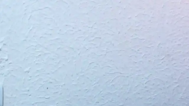 nextdoor_fantasy1 webcam