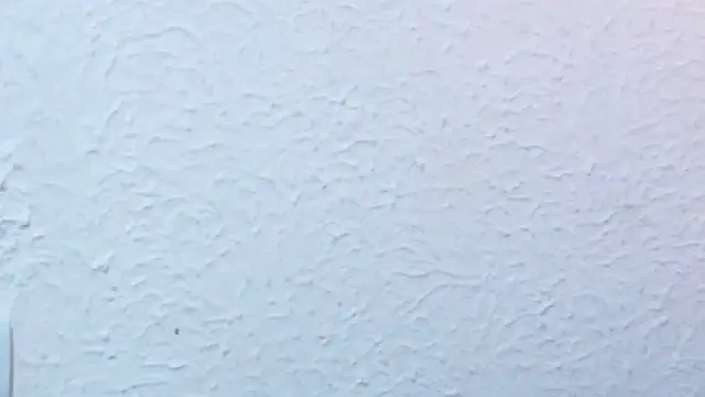 nextdoor_fantasy1 webcam