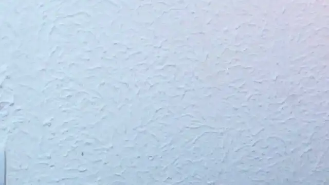 nextdoor_fantasy1 webcam