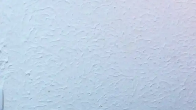 nextdoor_fantasy1 webcam