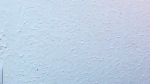 nextdoor_fantasy1 webcam