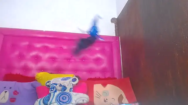 loloqueen5 (F young) - #affordable-cam2cam #african #ahegao #anal #anal-creampie #anal-ebony #anal-masturbation #anal-petite #anal-toys #anal-young #ass-to-mouth #best #best-young #big-clit #big-nipples #black-hair #black-hair-young #blowjob #blowjob-ahegao #cam2cam #camel-toe #cheapest-privates #cheapest-privates-best #cheapest-privates-ebony #cheapest-privates-young #cowgirl #creampie #deepthroat #deepthroat-blowjob #ebony #ebony-big-clit #ebony-blowjob #ebony-creampie #ebony-deepthroat #ebony-jerk-off-instruction #ebony-masturbation #ebony-young #glamour #hd #humiliation #jerk-off-instruction #latex #leather #masturbation #nylon #oil-show #orgasm #petite #petite-ebony #petite-young #recordable-privates #recordable-privates-young #role-play #role-play-young #shaven #small-audience #small-tits #small-tits-ebony #small-tits-young #south-african #spanking #squirt #squirt-ebony #squirt-young #striptease #striptease-ebony #striptease-young #twerk #twerk-ebony #twerk-young #young