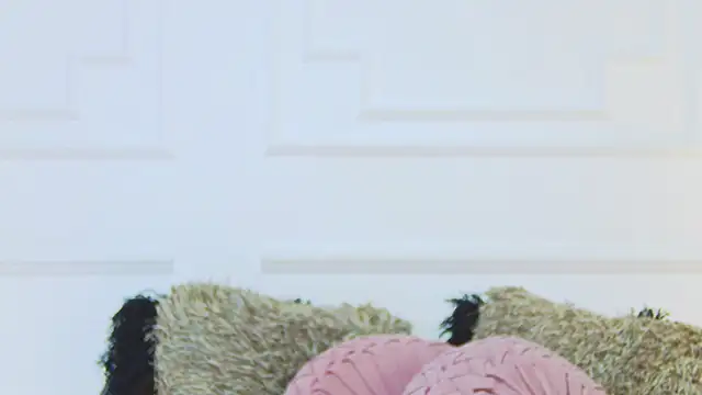 ShannonBannks webcam