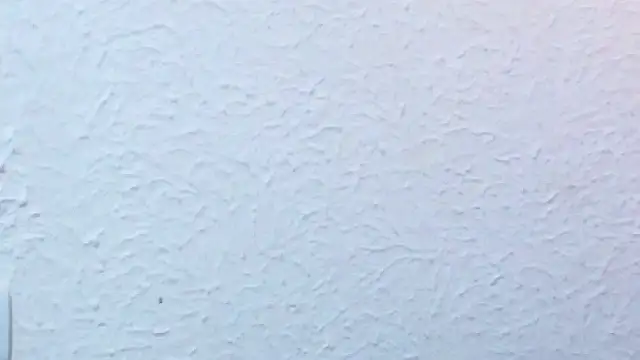 nextdoor_fantasy1 webcam