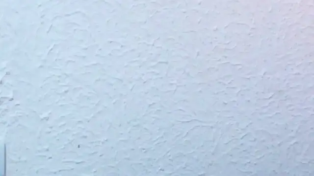 nextdoor_fantasy1 webcam