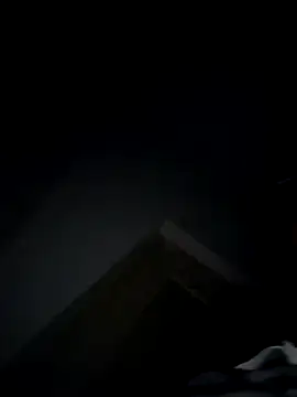 kangaroo_man1 webcam