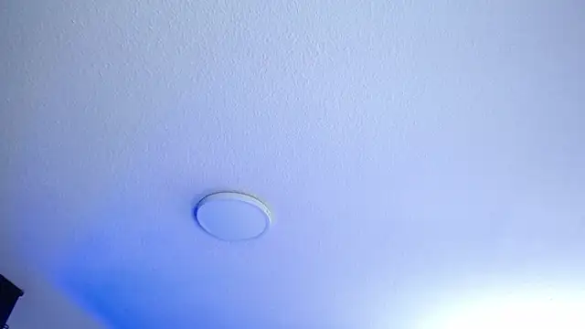 _Charlotte_Collins_ webcam