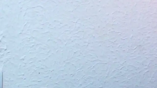 nextdoor_fantasy1 webcam