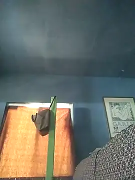 Preview of apineapple07