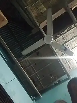 desibullboybd webcam