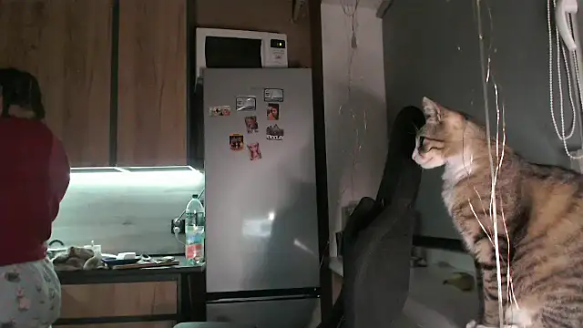 delightful_sofi webcam