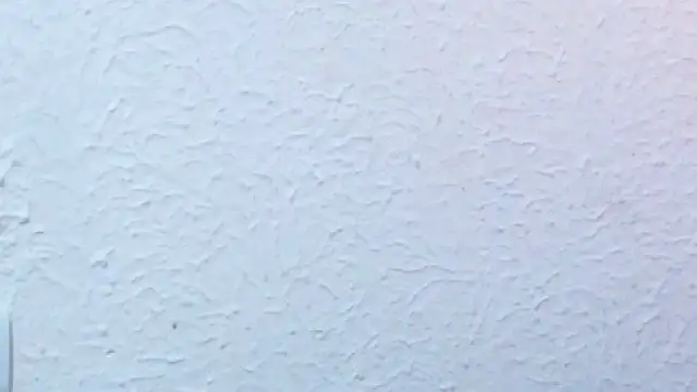 nextdoor_fantasy1 webcam