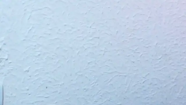 nextdoor_fantasy1 webcam