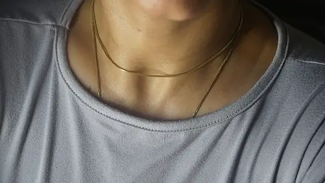 -AyeshaSinghania- webcam