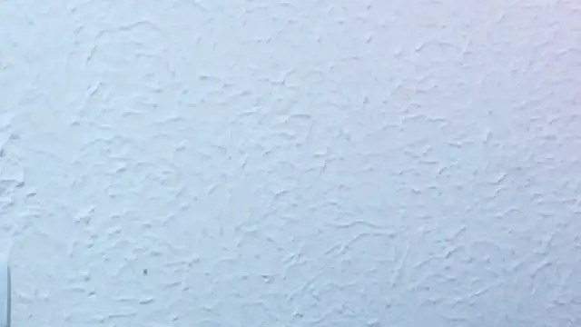 nextdoor_fantasy1 webcam