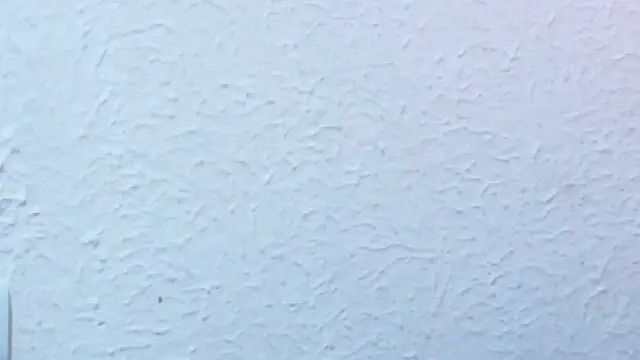 nextdoor_fantasy1 webcam