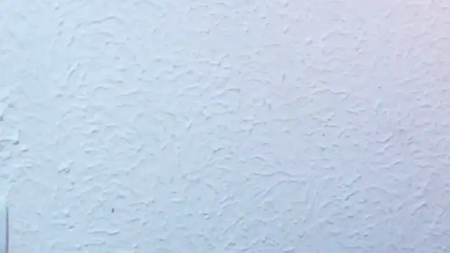 nextdoor_fantasy1 webcam