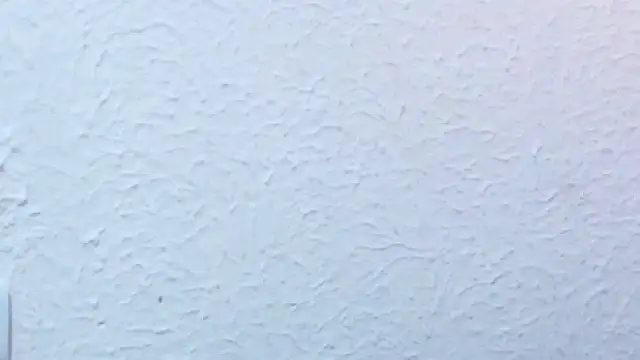 nextdoor_fantasy1 webcam