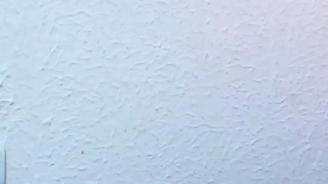 nextdoor_fantasy1 webcam