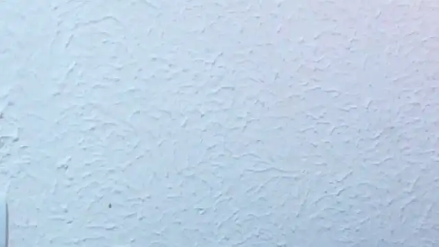 nextdoor_fantasy1 webcam