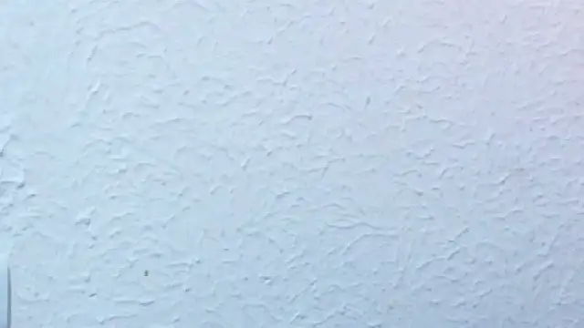 nextdoor_fantasy1 webcam