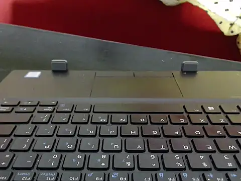 Whimsicalwillow webcam