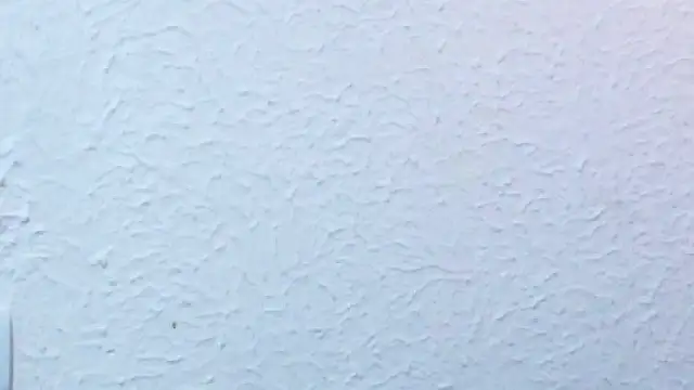 nextdoor_fantasy1 webcam