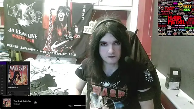 Rocker_Assassin_WASP_FAN webcam