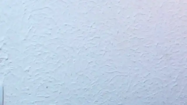 nextdoor_fantasy1 webcam